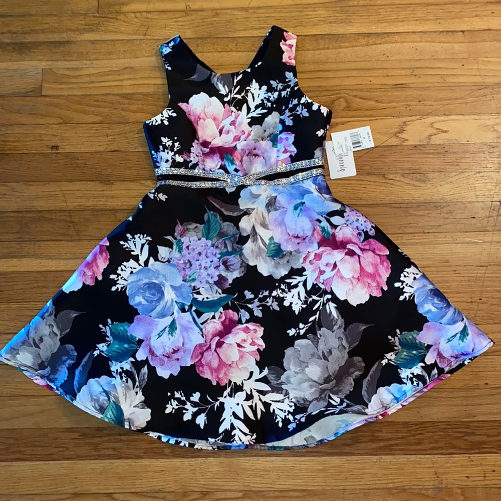 Girls party/holiday dress size 12. New with tags.